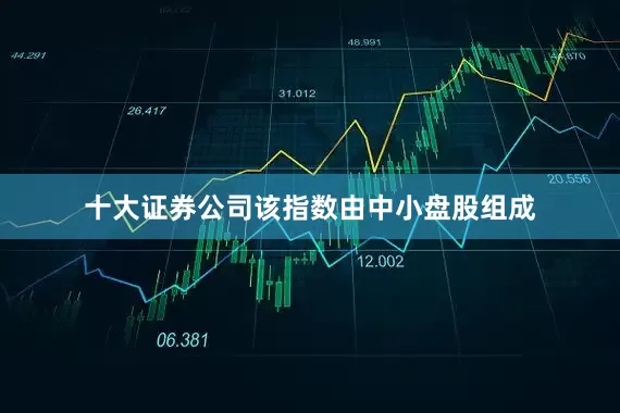 十大证券公司该指数由中小盘股组成